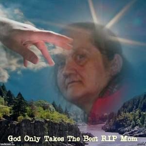 Meet your Posher, Paula